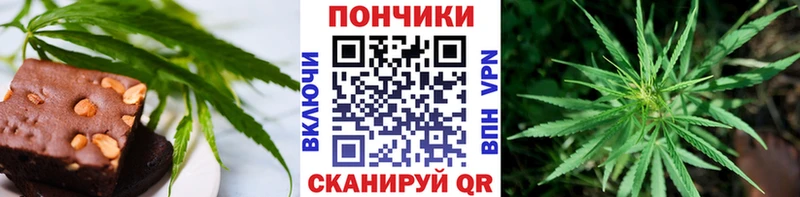 как найти закладки  Азнакаево  Cannafood марихуана 
