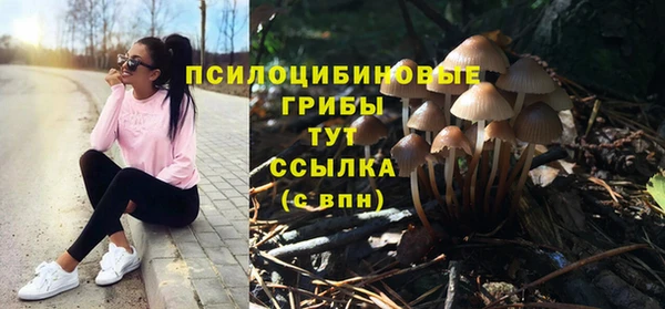 альфа пвп Нефтегорск