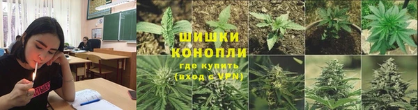шишки Остров