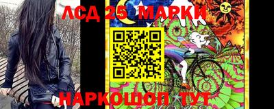 гидра Гатчина