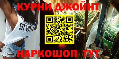 гидра Гатчина