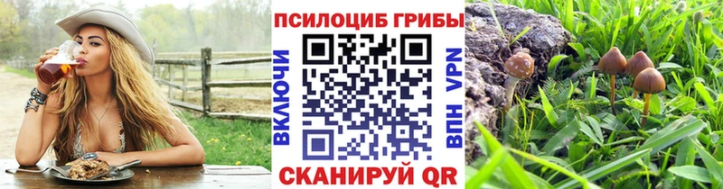 Галлюциногенные грибы Magic Shrooms  Азнакаево 