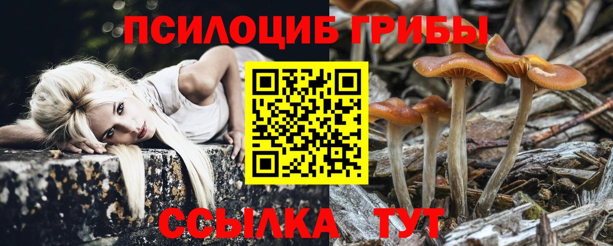 Галлюциногенные грибы MAGIC MUSHROOMS  Вход с VPN  Азнакаево 