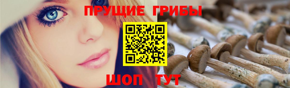 Псилоцибиновые грибы прущие грибы  Азнакаево  Псилоцибиновые грибы MAGIC MUSHROOMS 